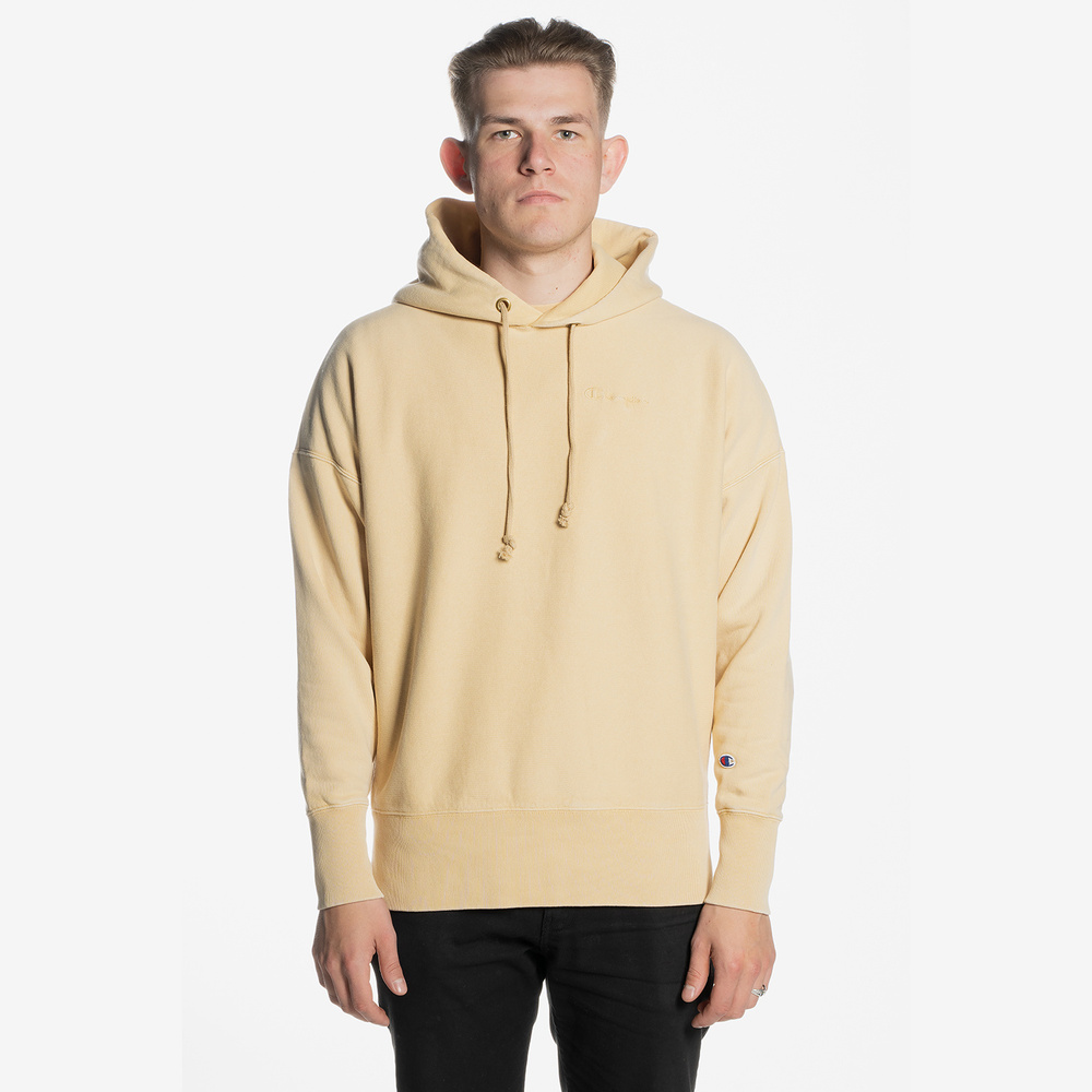 Hoodie champion sale hotsell